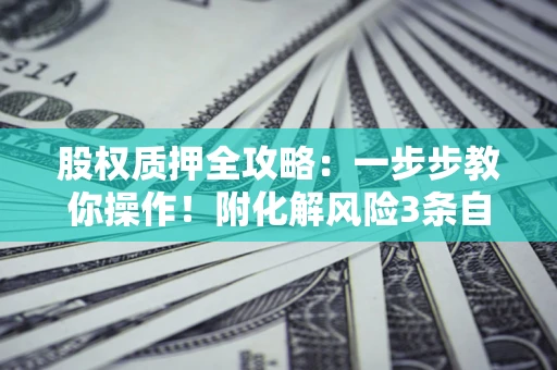 济南股权质押全攻略：一步步教你操作！附化解风险3条自救法则